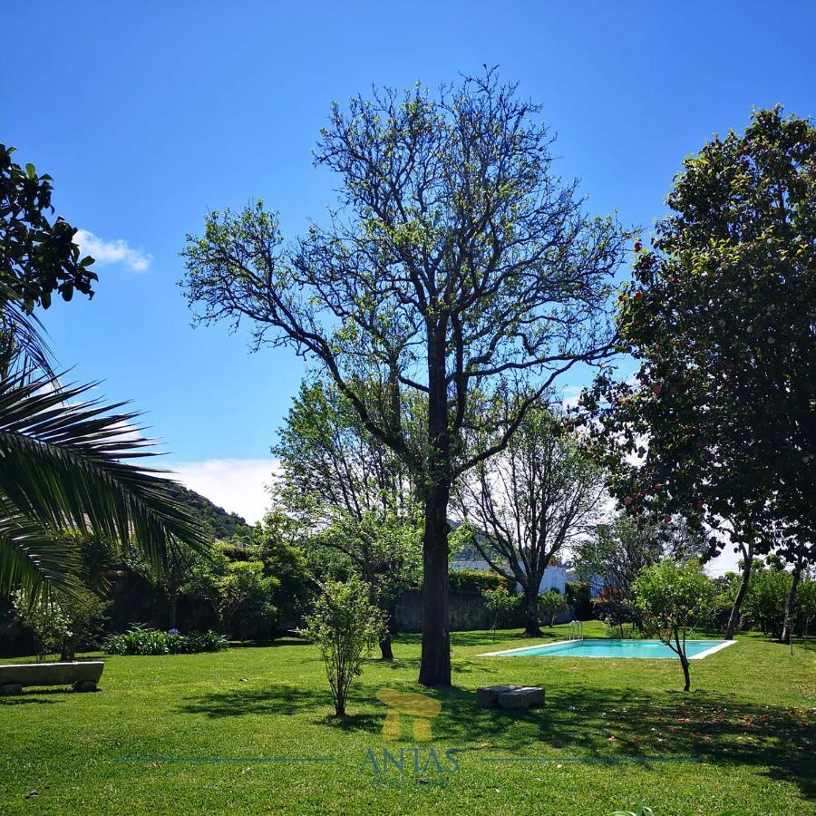 Antas Guest House Esposende Exterior foto